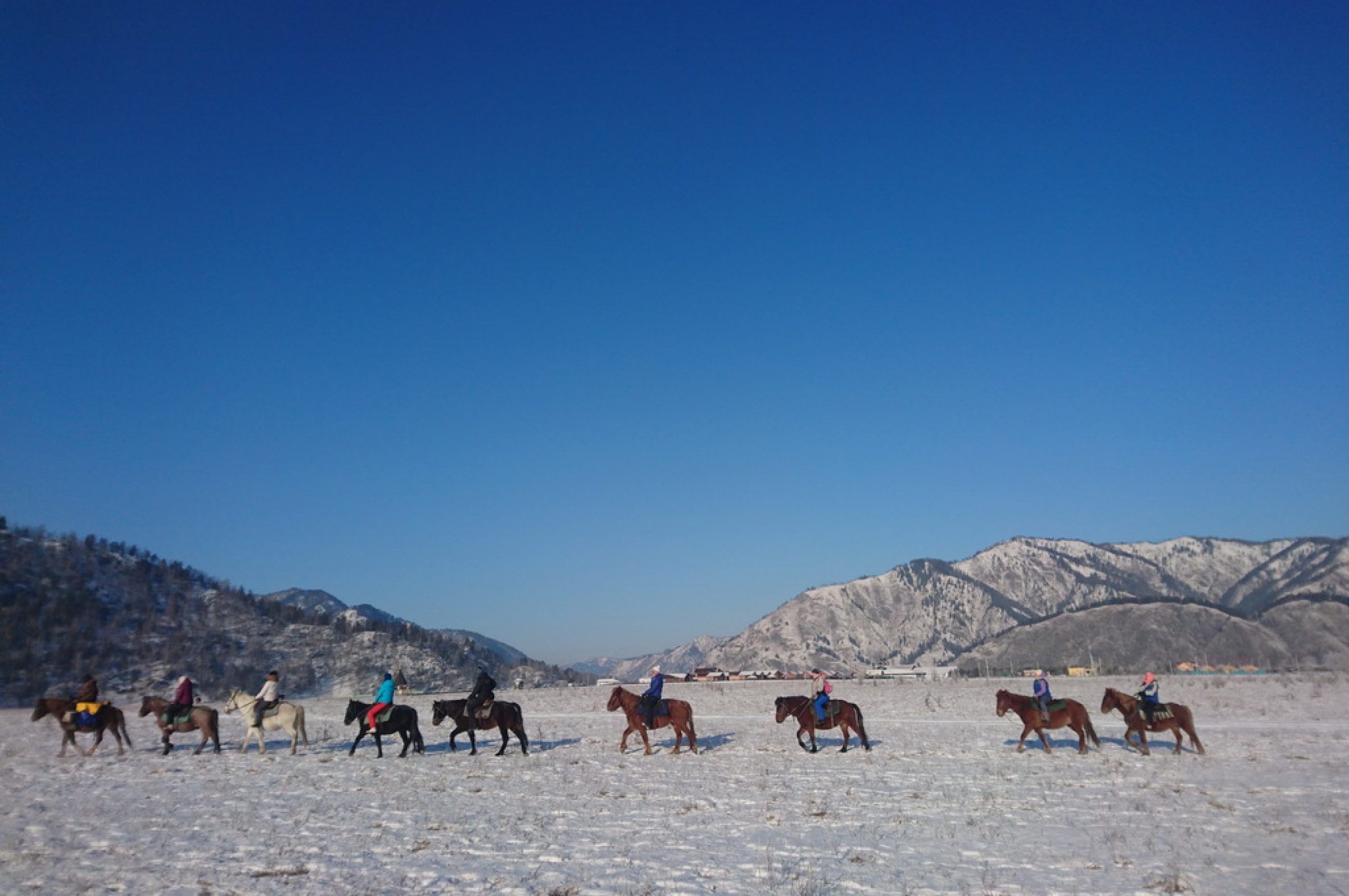 вереница лошадей голубое небо горы снег зима